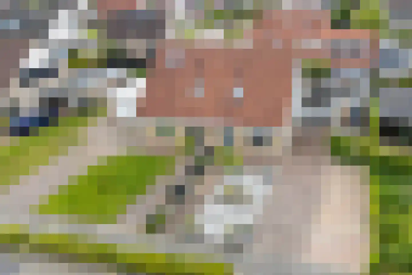 Bildtdyk 14 Berltsum thumbnail 36
