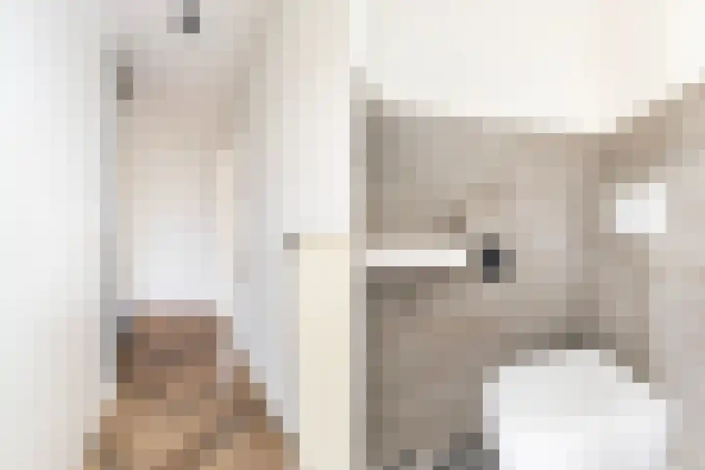 Bildtdyk 14 Berltsum thumbnail 6
