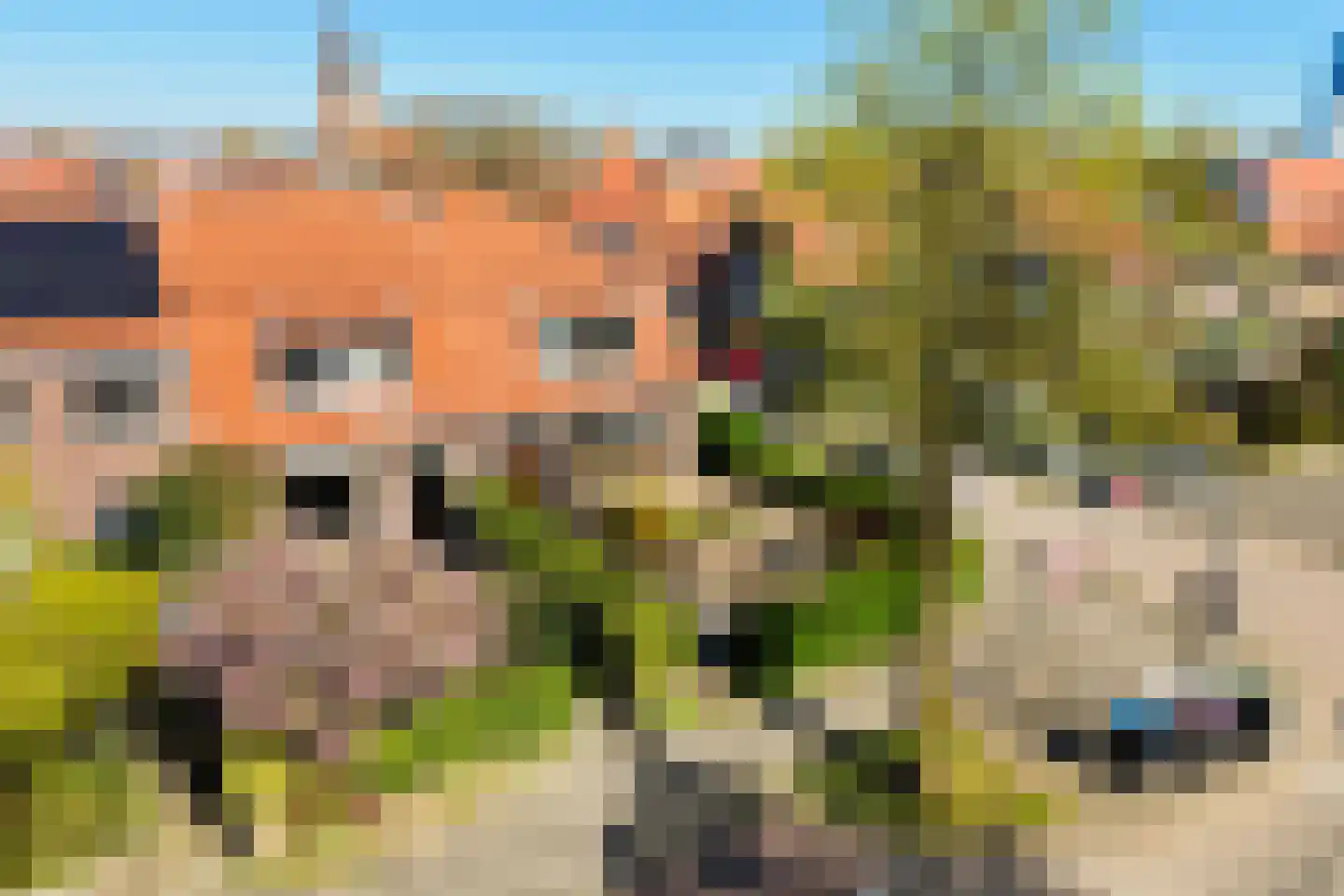 Bildtsestraat 69 Leeuwarden thumbnail 5