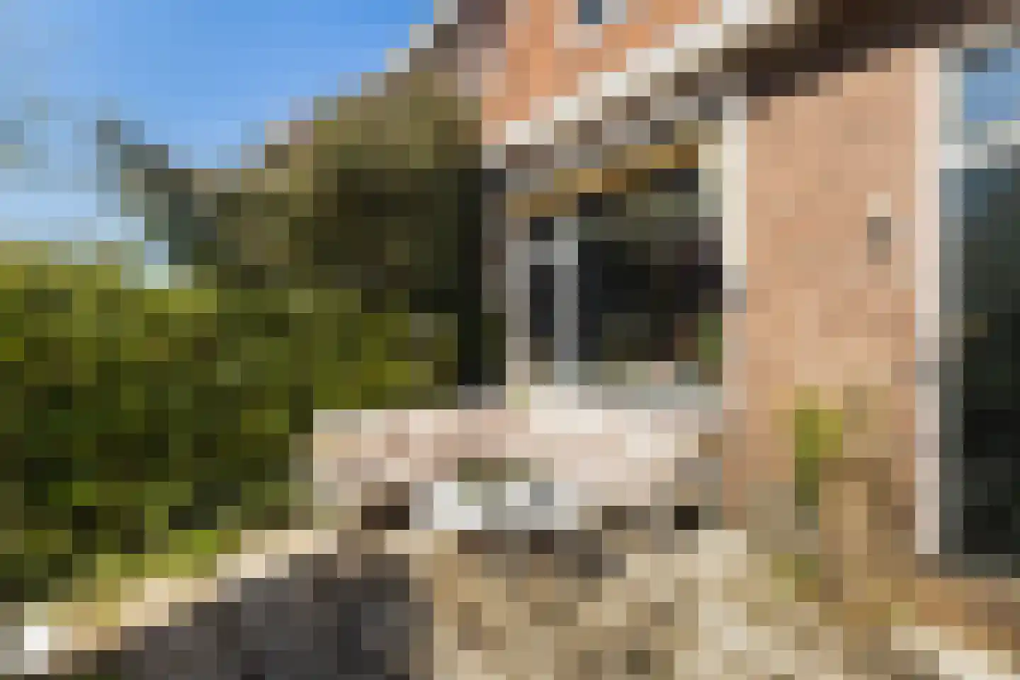 Bildtsestraat 69 Leeuwarden thumbnail 8