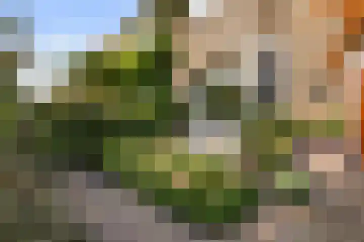 Bildtsestraat 89 Leeuwarden thumbnail 5