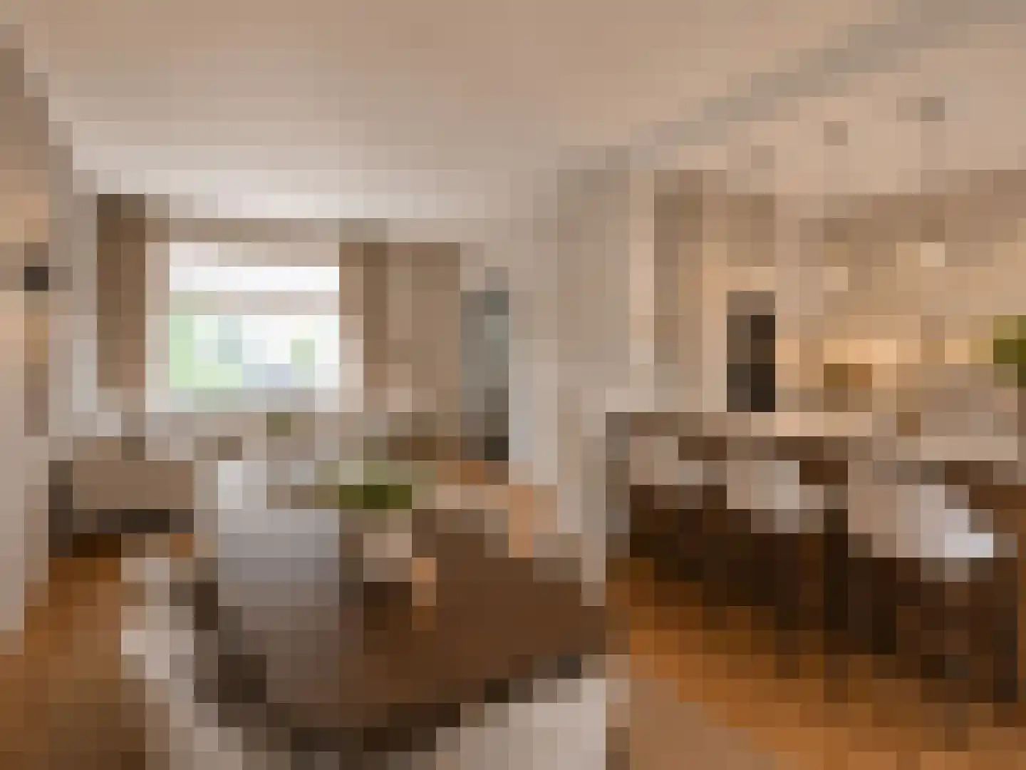 Bildzigt 4 Bilthoven thumbnail 12