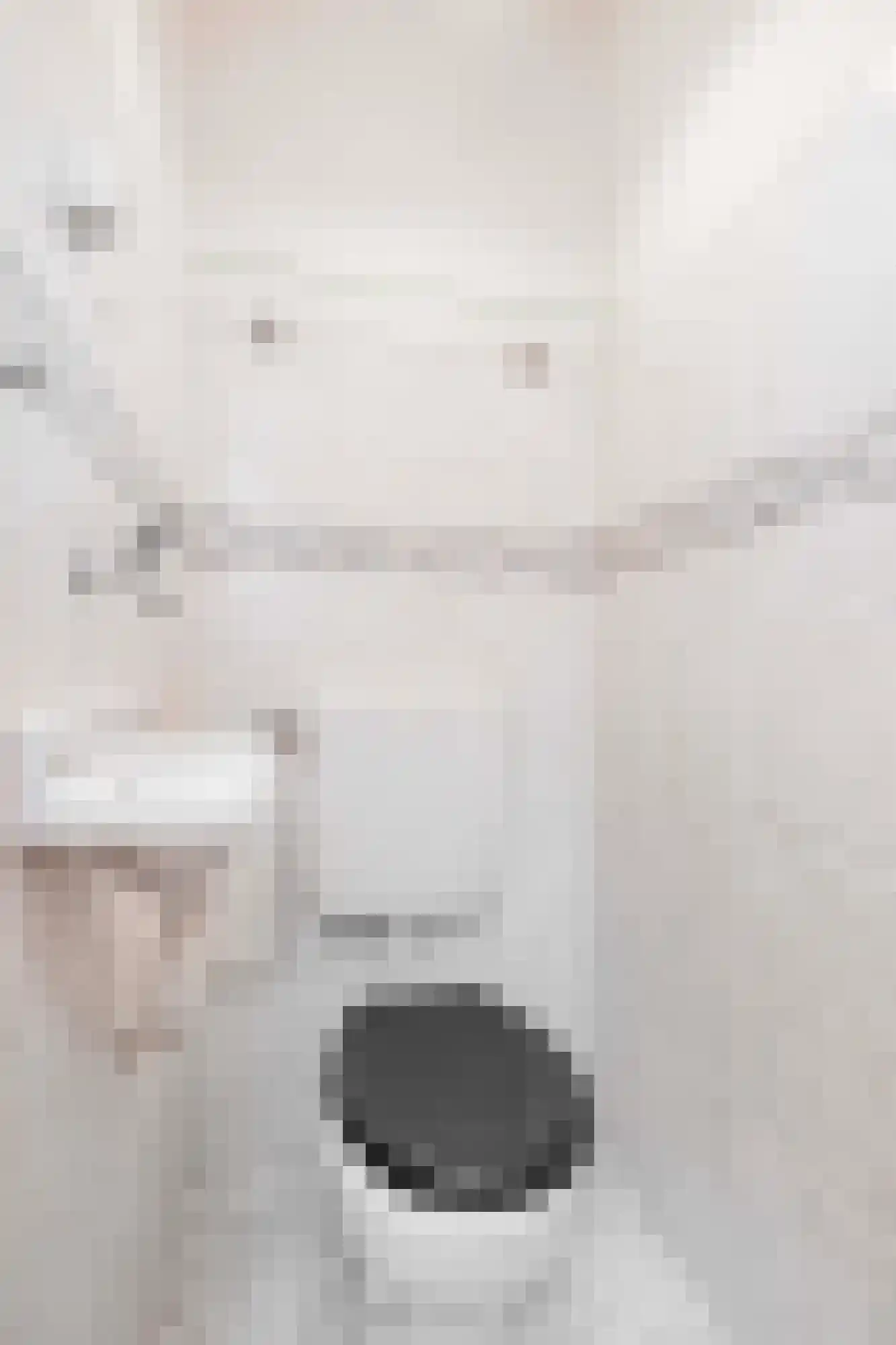 Bildzigt 4 Bilthoven thumbnail 6