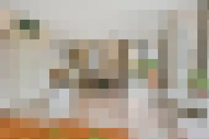 Biljoen 1 Hillegom thumbnail 13