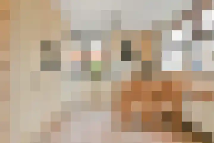 Biljoen 1 Hillegom thumbnail 14