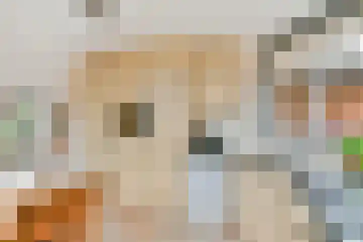Biljoen 1 Hillegom thumbnail 15