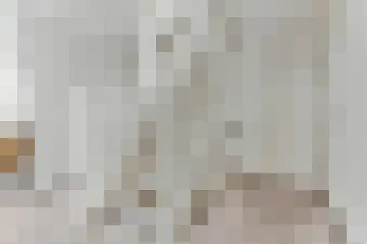 Biljoen 1 Hillegom thumbnail 16
