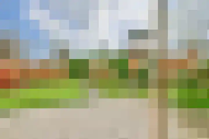 Biljoen 1 Hillegom thumbnail 30