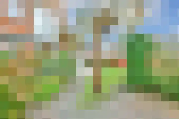 Biljoen 1 Hillegom thumbnail 32