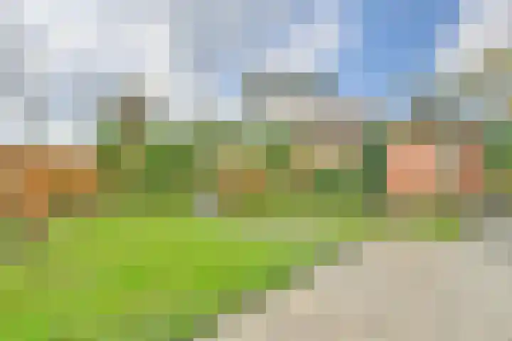 Biljoen 1 Hillegom thumbnail 33