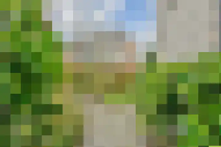 Biljoen 1 Hillegom thumbnail 37
