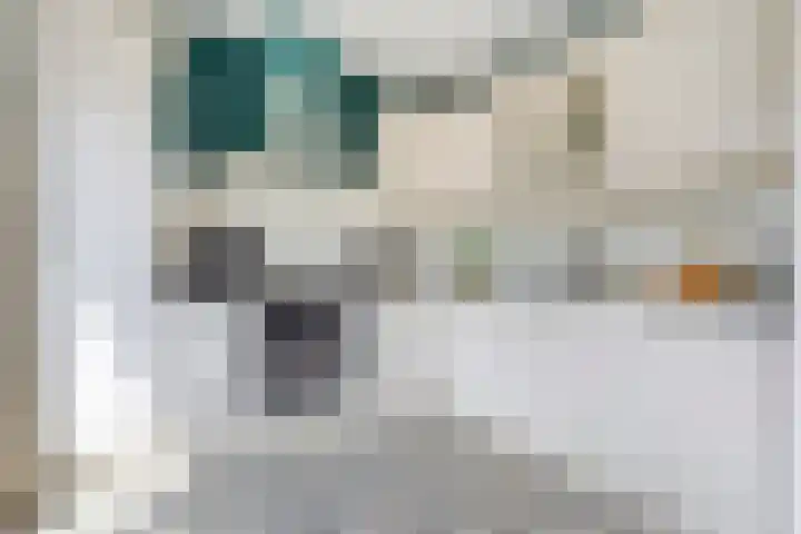 Biljoen 29 Almelo thumbnail 11