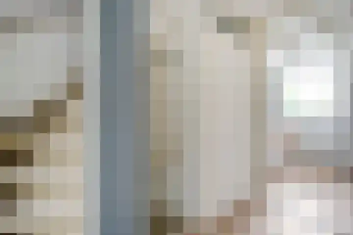 Biljoen 29 Almelo thumbnail 13