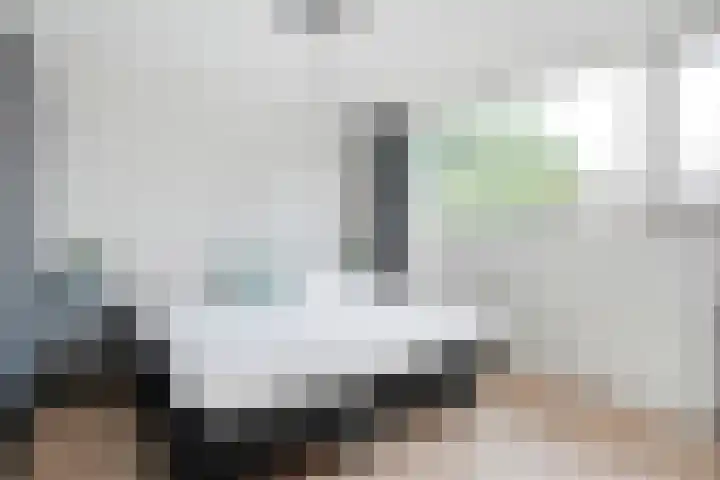 Biljoen 29 Almelo thumbnail 14