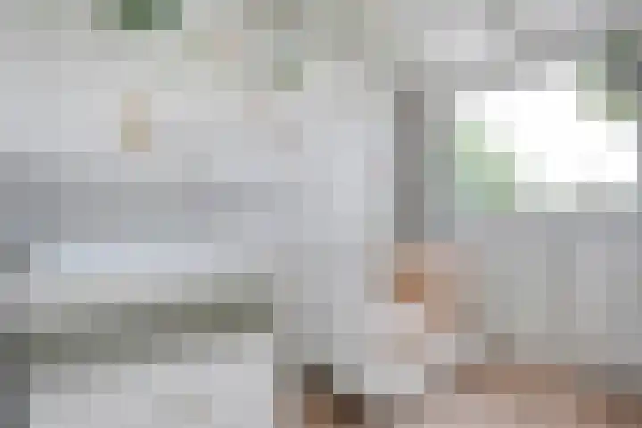 Biljoen 29 Almelo thumbnail 15