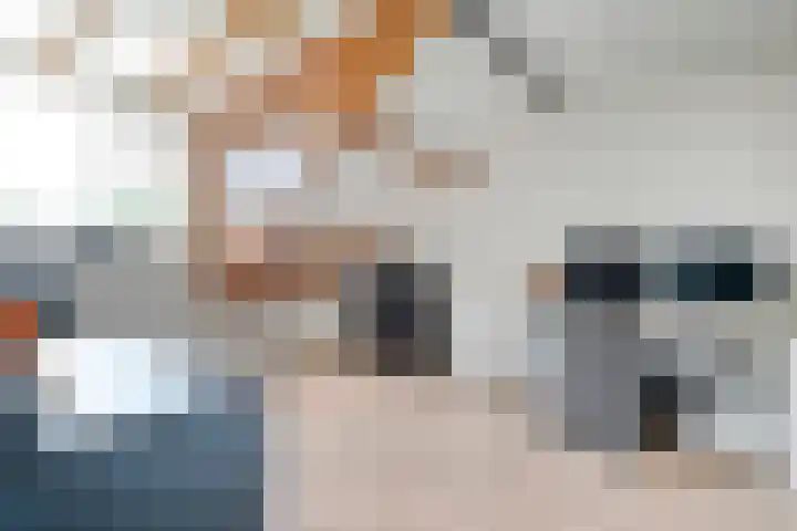 Biljoen 29 Almelo thumbnail 16