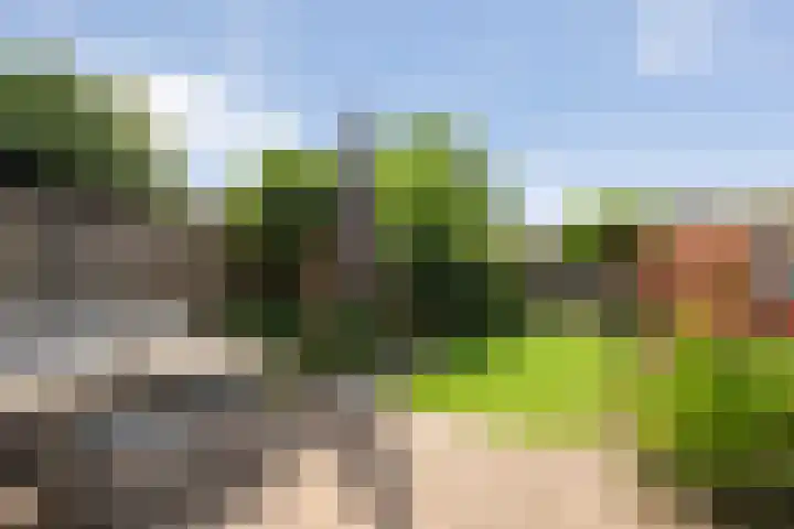 Biljoen 29 Almelo thumbnail 21