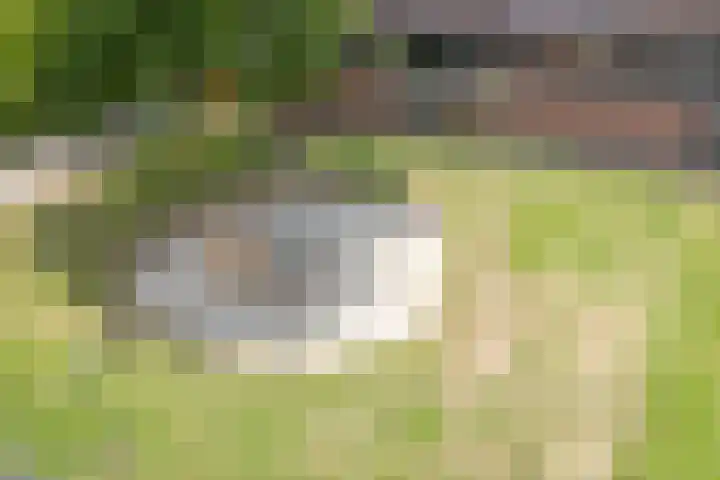 Biljoen 29 Almelo thumbnail 23