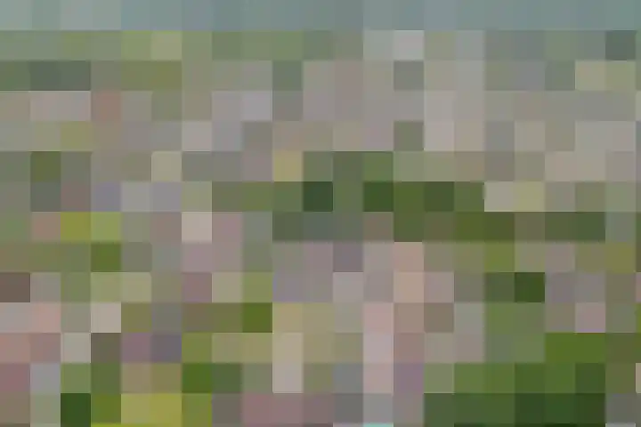 Biljoen 29 Almelo thumbnail 24