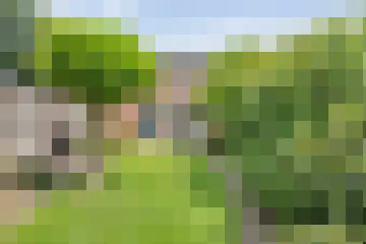 Biljoen 29 Almelo thumbnail 4