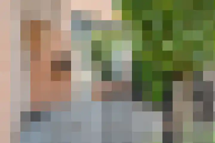 Biljoen 29 Almelo thumbnail 5