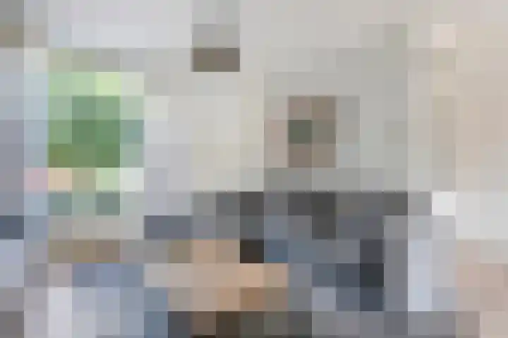 Biljoen 29 Almelo thumbnail 8