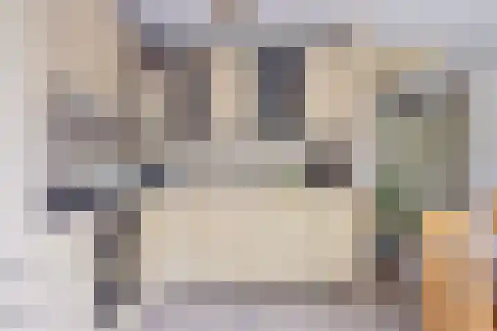Biljoen 56 Almelo thumbnail 10