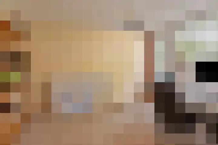 Biljoen 56 Almelo thumbnail 15