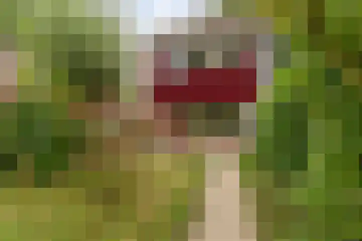 Biljoen 56 Almelo thumbnail 20