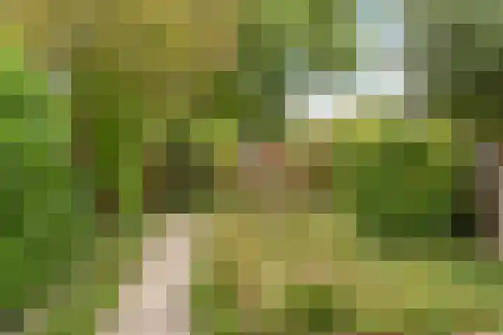 Biljoen 56 Almelo thumbnail 21