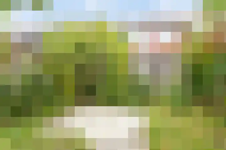 Biljoen 56 Almelo thumbnail 22