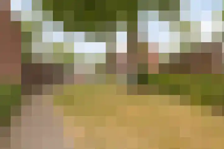 Biljoen 56 Almelo thumbnail 23