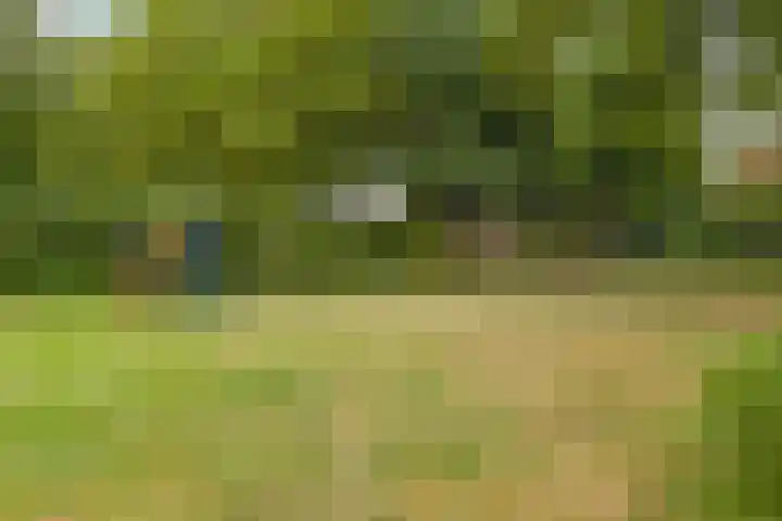 Biljoen 56 Almelo thumbnail 24