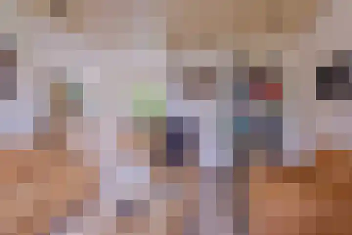 Biljoen 56 Almelo thumbnail 7