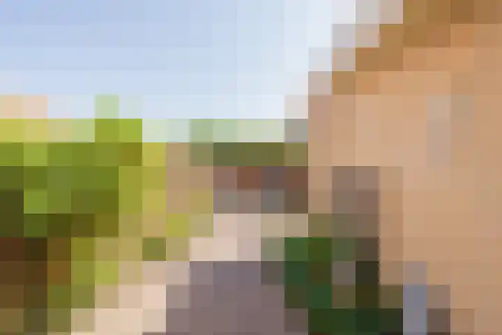 Biljoen 6 Hillegom thumbnail 18