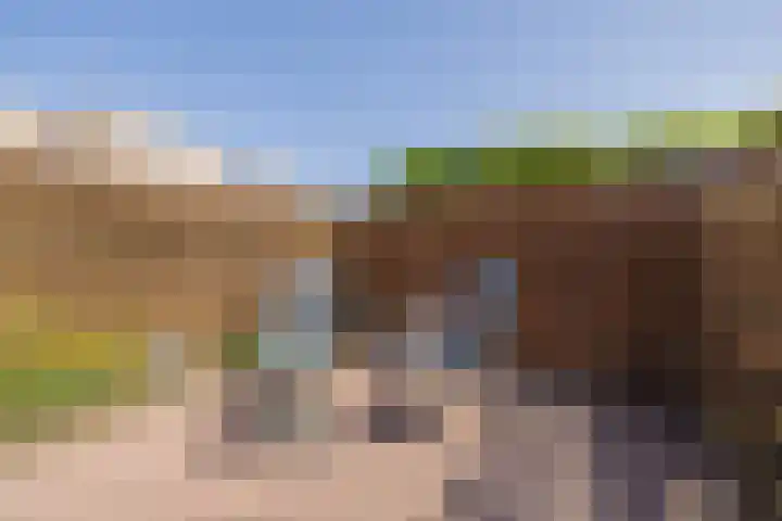 Biljoen 6 Hillegom thumbnail 20