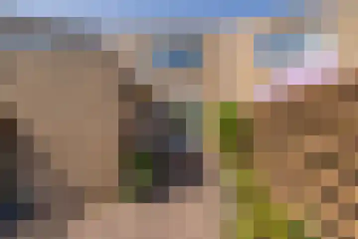 Biljoen 6 Hillegom thumbnail 21