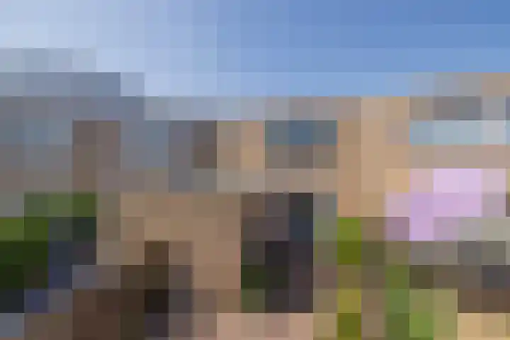 Biljoen 6 Hillegom thumbnail 22