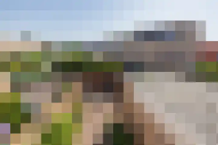 Biljoen 6 Hillegom thumbnail 36