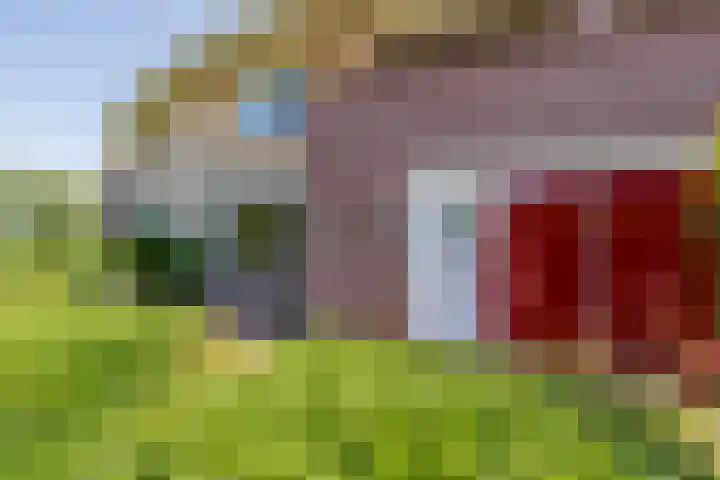 Biljoen 6 Hillegom thumbnail 4