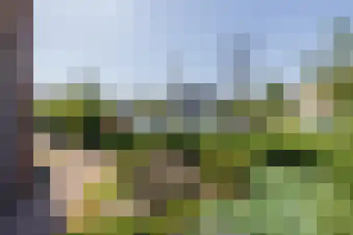 Biljoen 6 Hillegom thumbnail 42