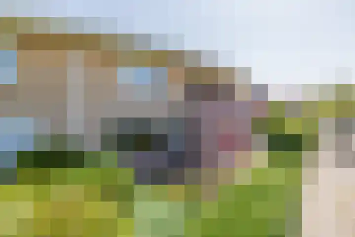 Biljoen 6 Hillegom thumbnail 43