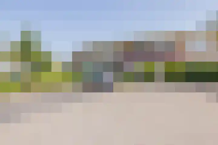 Biljoen 6 Hillegom thumbnail 44
