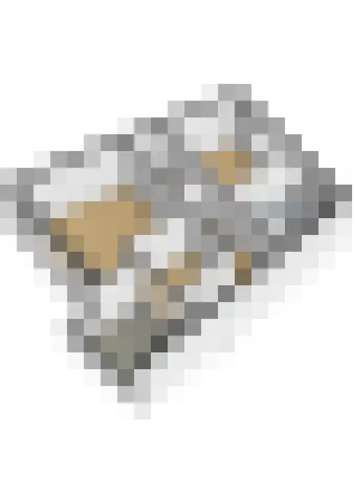 Biljoen 6 Hillegom thumbnail 48
