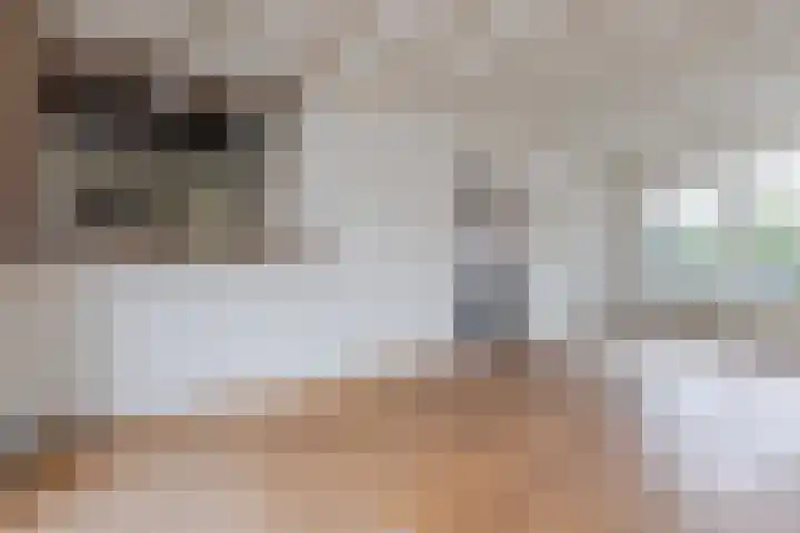 Biljoenlaan 25 Arnhem thumbnail 13