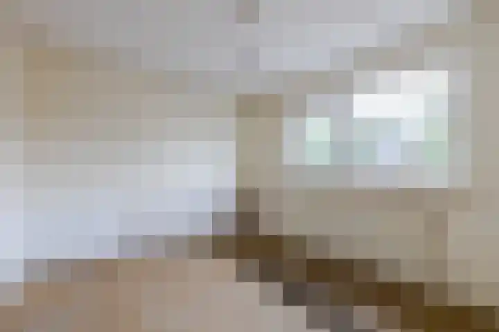 Biljoenlaan 25 Arnhem thumbnail 22