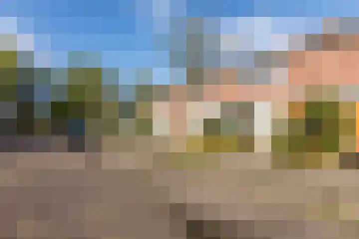 Biljoenlaan 25 Arnhem thumbnail 4