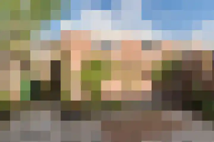 Biljoenlaan 25 Arnhem thumbnail 41