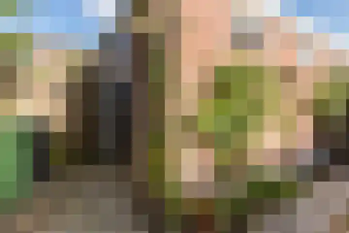 Biljoenlaan 25 Arnhem thumbnail 42