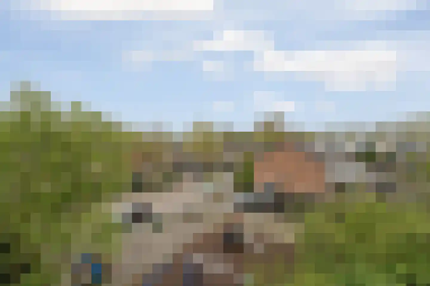 Biljoenlaan 57 2 Arnhem thumbnail 34